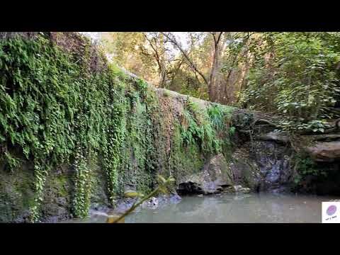 Guía para encontrar piscinas públicas en Molins de Rei