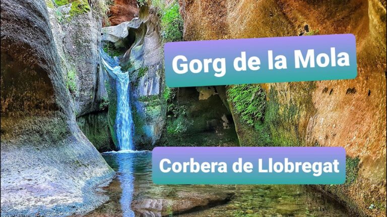 Senderismo Familiar en Cornellà de Llobregat: Mejores Rutas para Niños