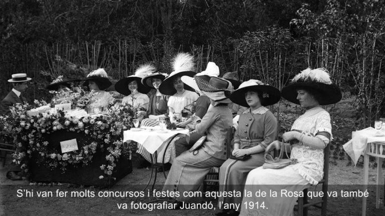 Zonas de Picnic en Sant Just Desvern: Guía Completa