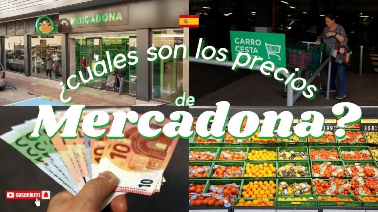 Guía de Compra: Productos de Comercio Justo en Sabadell